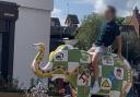 The man was filmed clambering on the hospice elephant.