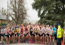 RETURN: After two years, the Bourton-on-the-Water 10K race will resume next year in February. Picture: John Gibson