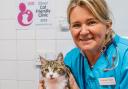 Vet Victoria Organ says the feline happy hours have gone down a treat with patients