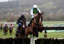Weveallbeencaught ridden by Sam Twiston-Davies goes on to win The Ballymore Maiden Hurdle at Cheltenham Racecourse