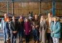 South Warwickshire-based racehorse ownership platform, Old Gold Racing, has announced it is putting a horse up for syndication, all in the name of raising funds for research and awareness of cervical cancer.