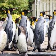 Birdland Wildlife Park has listed five ways visitors can foster wellbeing