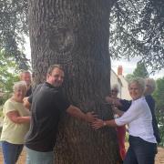TREE: Councillor Tom Stowe with local residents at the Cedar tree on the corner of Granbrook Lane and Cedar Road.