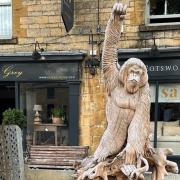 STOLEN: A giant 'orangutan' was stolen from a Cotswold business and found dumped in a field..