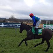 Monbeg Genius has been taken out of the Grand National