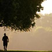 Adults in the Cotswolds are more active than the average person in England, new figures revealed.