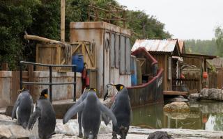 The park, in Bourton, is home to Spike the Penguin, who has over 17,000 Facebook followers