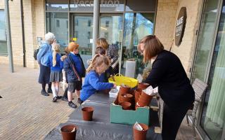 Stow Primary School pupils are taking part in the project with retirement village Beechwood Park residents