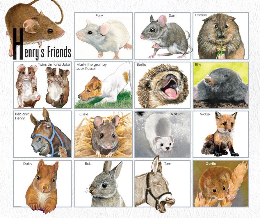 The characters featured in Jo Cokers books about the escapades of Henry the Field Mouse