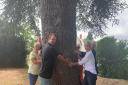 TREE: Councillor Tom Stowe with local residents at the Cedar tree on the corner of Granbrook Lane and Cedar Road.