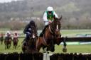 Weveallbeencaught ridden by Sam Twiston-Davies goes on to win The Ballymore Maiden Hurdle at Cheltenham Racecourse