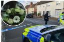 Tributes to Oxford man killed in stabbing