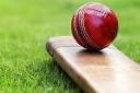 Whitney carries bat in Bourton Vale romp