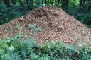 The large pile of bark chips dumped near Northleach.