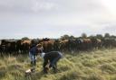 The Pasture and Profit in Protected Landscapes programme has been launched by Pasture for Life