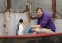 Birdland's Spike is in contention to be named the world's most popular penguin, here he is with keeper Alistair Keen