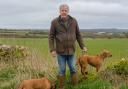 Jeremy Clarkson at Diddly Squat Farm.