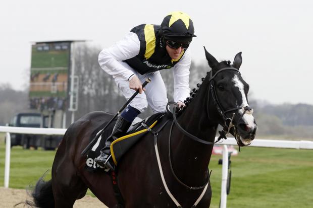 Nigel Twiston-Davies will send Earlofthecotswolds straight to the Ascot Gold Cup following his All-Weather Marathon win at Newcastle, ridden by Liam Keniry