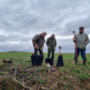 The group conducted work last winter to clear debris