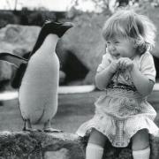 Rocky the rockhopper penguin was one of the park's most popular residents in the early years