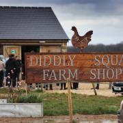 The Diddly Squat farm shop. Picture: Ed Nix