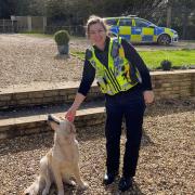 A woman has been arrested on suspicion of stealing Bluebell the 10-month-old golden retriever, who has now been reunited with her owners thanks to the help of PC Amy Priest