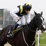 Nigel Twiston-Davies will send Earlofthecotswolds straight to the Ascot Gold Cup following his All-Weather Marathon win at Newcastle, ridden by Liam Keniry
