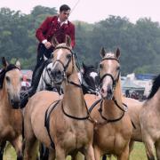 JULY  02   2022

The Cotwold Show, founded 1989

Copyright Photographer Simon Pizzey 


Ben Atkinson's Horses display in the main arena