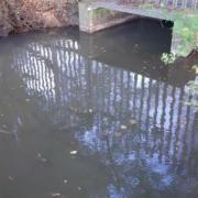Untreated sewage outfall at Colwell Brook in 2020. There is now a recovery project being carried out by WASP