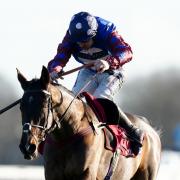Legend: Paisley Park entered for the 2023 Cheltenham Festival Stayers Hurdle, looking to repeat 2019 heroics