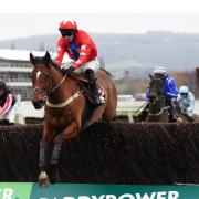 Editeur Du Gite wins a classic Clarence House Chase at Cheltenham on Saturday.