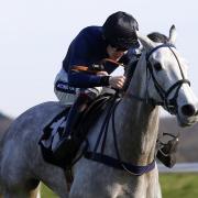 Snow Leopardess has secured herself an entry for the Cheltenham Festival