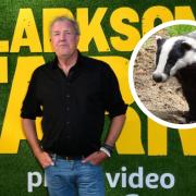 The Badger Trust has criticised Jeremy Clarkson's comments about the animals in an episode of Clarkson's Farm