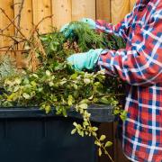 Garden waste costs will increase for Cotswold residents next year Image: Getty