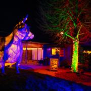 LIGHTS: A popular Cotswold attraction has launched its festive light trail.