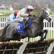 Lossiemouth ridden by Paul Townend on their way to winning the Close Brothers Mares’ Hurdle on day one of the 2024 Cheltenham Festival at Cheltenham Racecourse.