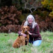 Ruth McDonagh has authored 'They’re All Barking', which is written from the perspective of a dog