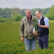 Jeremy Clarkson in Clarkson's Farm series five.
