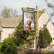 The Farmer's Dog pub in Oxfordshire.