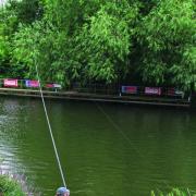 Vale angling round-up