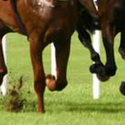 Cotswold horse wins fences debut