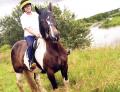 Cotswold Journal: Mrs Martin on her horse Ted enjoying the toll ride on Wick meadows.