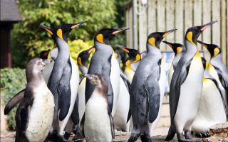 Birdland Wildlife Park has listed five ways visitors can foster wellbeing