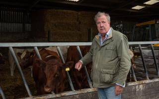 Jeremy Clarkson with cows.