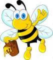 Cotswold Journal: Fred (The Bee) Holtom